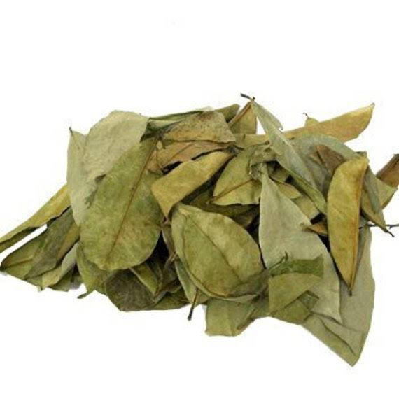 Soursop and Ashwagandha Herbal Tea