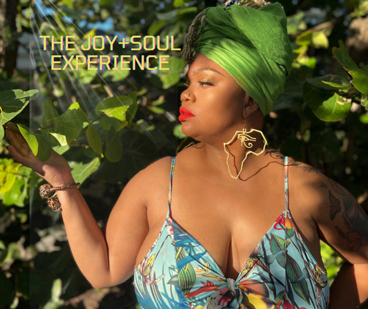 INTRO (Welcome to the Joy Soul Experience)
